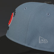 CHICAGO CUBS A CENTURY OF CUBS LAUREL FUTURE TRUNKS INSPIRED NEW ERA HAT