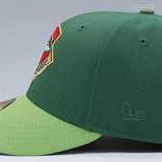 ALTOONA CURVE THE LEGEND OF ZELDA SPIRIT TRACKS INSPIRED NEW ERA FITTED CAP