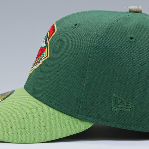 ALTOONA CURVE THE LEGEND OF ZELDA SPIRIT TRACKS INSPIRED NEW ERA FITTED CAP