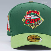ALTOONA CURVE THE LEGEND OF ZELDA SPIRIT TRACKS INSPIRED NEW ERA FITTED CAP