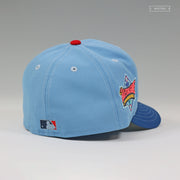 ANAHEIM ANGELS 1989 ASG SCAFFOLD CINDERELLA'S CASTLE INSPIRED PART II NEW ERA HAT