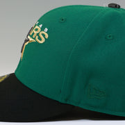 DALLAS STARS 20TH ANNIVERSARY PRIMARY EMERALD GREEN NEW ERA FITTED CAP