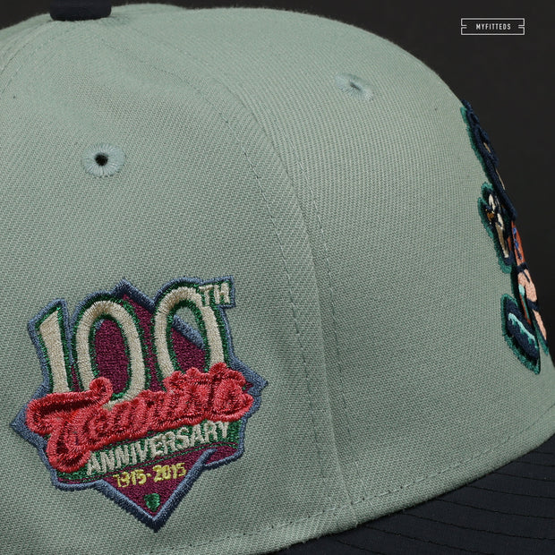 ASHEVILLE TOURISTS 100TH ANNIVERSARY TOURIST GO ANYWHERE NEW ERA FITTED CAP