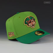 ERIE SEAWOLVES HOWLERS PETER PAN INSPIRED NEW ERA FITTED CAP