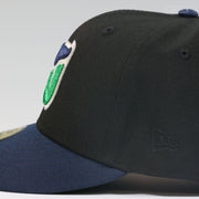 HARTFORD WHALERS 1979 INAUGURAL SEASON 1990'S TEAM COLORS NEW ERA FITTED CAP