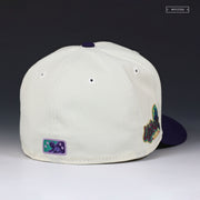 CHARLOTTE KNIGHTS X UPTOWN KNIGHTS THEME NIGHT AIR JORDAN V GRAPES NEW ERA HAT