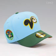 VERMONT EXPOS BEN AND JERRY'S X NIKE SB CHUNKY DUNKY INSPIRED NEW ERA FITTED CAP