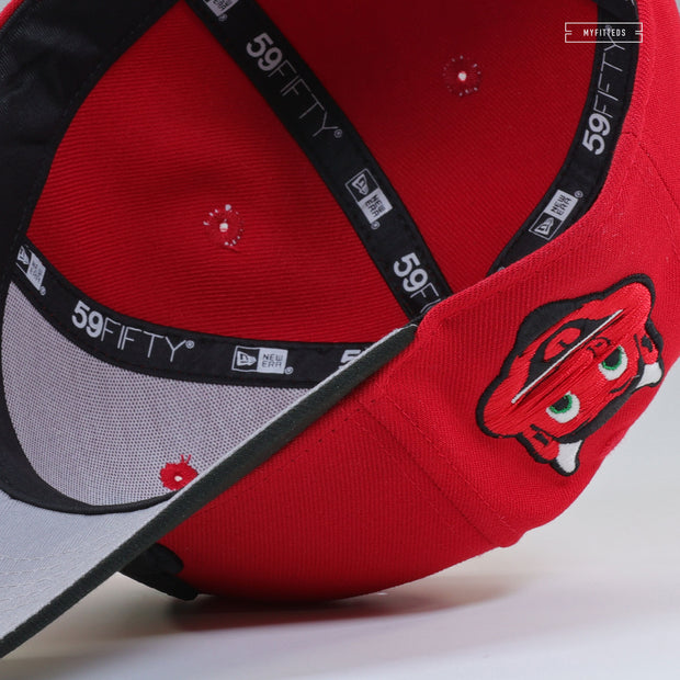 NEW JERSEY DEVILS NJ DEVIL SCARLET JET BLACK AIR JORDAN XII FLU GAME INSPIRED NEW ERA HAT