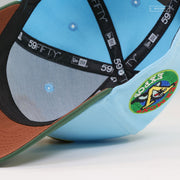 VERMONT EXPOS BEN AND JERRY'S X NIKE SB CHUNKY DUNKY INSPIRED NEW ERA FITTED CAP