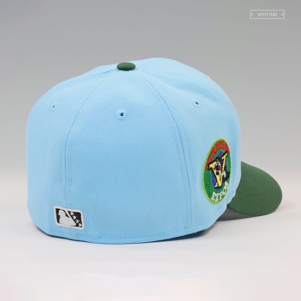 VERMONT EXPOS BEN AND JERRY'S X NIKE SB CHUNKY DUNKY INSPIRED NEW ERA FITTED CAP