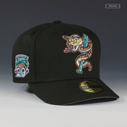 WISCONSIN TIMBER RATTLERS 20 SEASONS 2001 DBACKS COLORWAY NEW ERA FITTED CAP