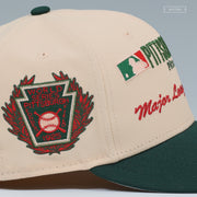 PITTSBURGH PIRATES 1925 WORLD SERIES LAUREL CACTUS PLANT FLEA MARKET INSPIRED NEW ERA HAT