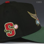 SACRAMENTO RIVER CATS TOTK COLLECTOR'S EDITION NEW ERA 9FIFTY A-FRAME SNAPBACK