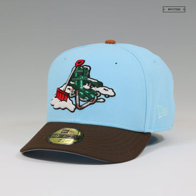 LEHIGH VALLEY IRON PIGS X SPACE SAVERS SH!TTER WAS FULL INSPIRED NEW ERA HAT