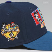 WARNER BROS THE ANIMANIACS 2020 YAKKO WAKKO AND DOT NEW ERA FITTED CAP