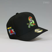 SPRINGFIELD CARDINALS EQ EQUALIZER JET BLACK NEW ERA FITTED CAP